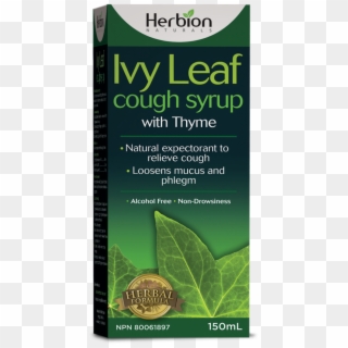 Herbion Naturals Ivy Leaf Cough Syrup With Thyme 150 - Herbion, HD Png Download