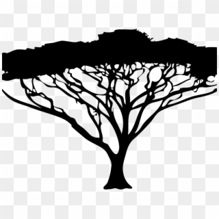 Roots Clipart African - Acacia Tree Black And White, HD Png Download