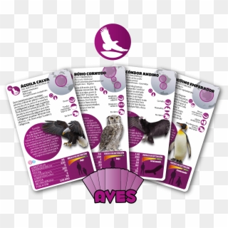 Aves - Flyer, HD Png Download
