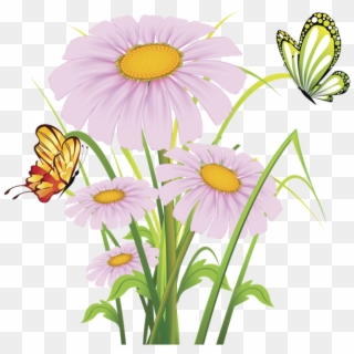 Daisy Clipart Plant Insect - Flower Clipart, HD Png Download