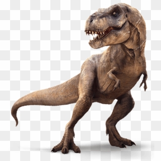 My New Channel - Alpha And Omega Dino Digs T Rex, HD Png Download