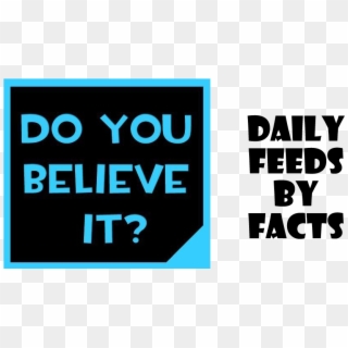 Dailyfeeds By Fact - Poster, HD Png Download
