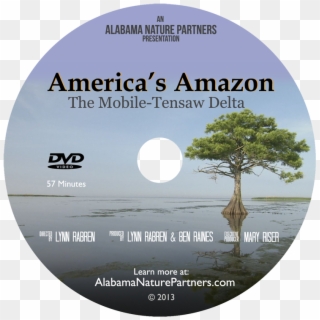 Transparent Dvd Amazon - Dvd, HD Png Download