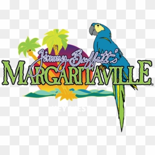 Margaritaville Key West Jimmy Buffet - Margaritaville Key West Logo, HD Png Download
