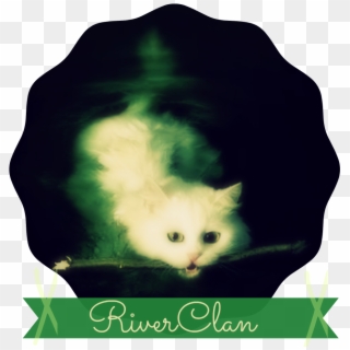 Riverclan Second Banner Fam - Kitten, HD Png Download