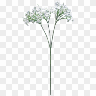 Flower Png For Free Download On - Baby's Breath Transparent Background, Png Download