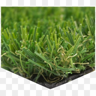 Artificial Turf Png Transparent Picture, Png Download