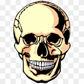 Skull Vector Png - Blank Dia De Los Muertos Skull, Transparent Png