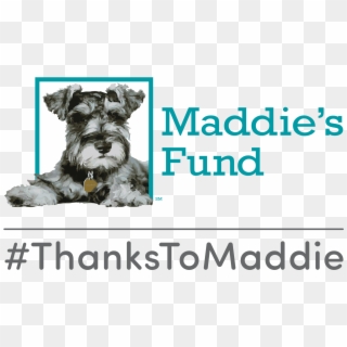 Thanks To Maddie, HD Png Download