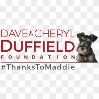 The Dave & Cheryl Duffield Foundation Is A Private - Miniature Schnauzer, HD Png Download