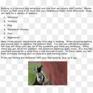 Barking - Companion Dog, HD Png Download