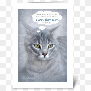 Excelent Happy Birthday For Cat Lovers Send This Greeting - Birthday For Cat Lover, HD Png Download