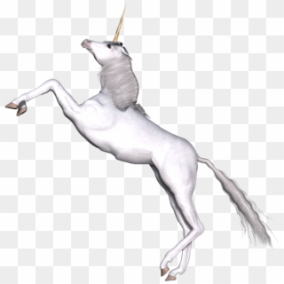 Full White Unicorn Prancing - Transparent Unicorn Jumping, HD Png Download