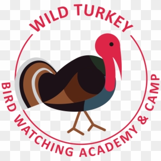 Wild Turkey - Clicks And Bricks, HD Png Download