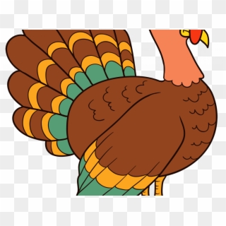 Download Turkey Picture - Turkey Vector, HD Png Download