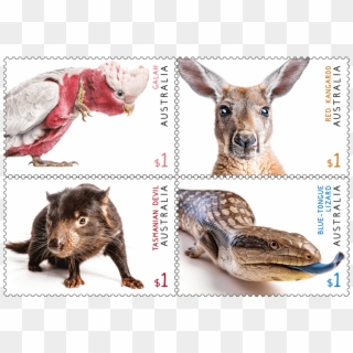 Set Of Stamps - 2019 Australian Stamps, HD Png Download
