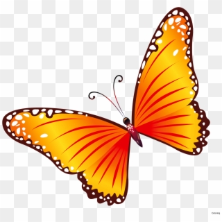 Free Clip Art Butterflies Coloring Butterfly Border - Red And Yellow Butterflies, HD Png Download