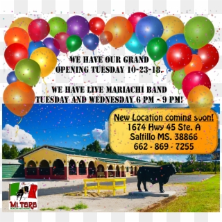 Welcome To Mi Toro Mexican Restaurant The Place Where - Balloon, HD Png Download