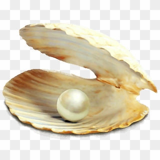 #concha #mar - Live Pearl Parties On Facebook, HD Png Download