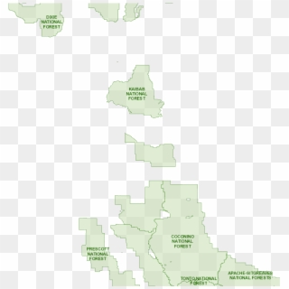 Los Padres National Forest Camping - Atlas, HD Png Download
