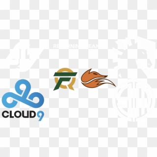 Instead, We Get Echo Fox, Team Liquid, And Flyquest, HD Png Download