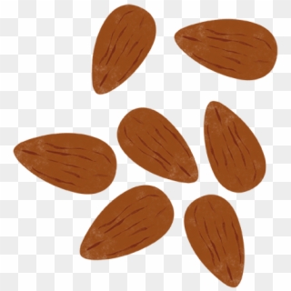 Almond-flakes - Wood, HD Png Download