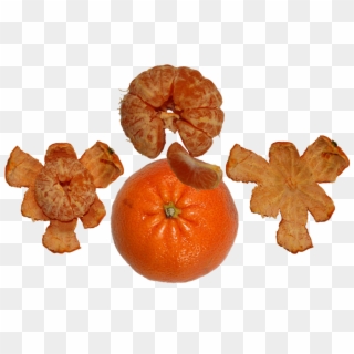 Fruit Tangerine Orange Food Vitamin C Juicy - Natural Foods, HD Png Download