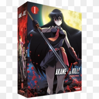 Akame Ga Kill Collection 1 Premium Box Set - Female Anime Character With Sword, HD Png Download