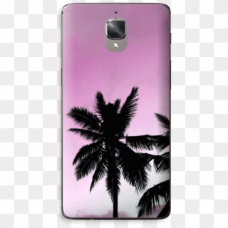 Pink Palm Tree Skin Oneplus 3t - Palm Trees, HD Png Download