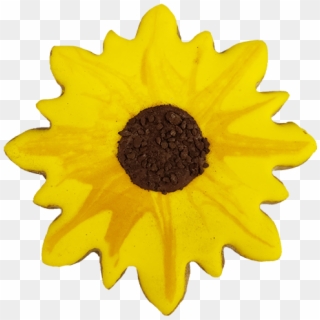 Sunflower, HD Png Download