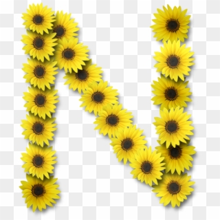 Alfabeto Sunflowers - Alfabeto Sunflowers N, HD Png Download