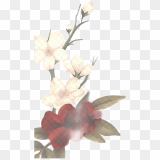 #shawnmendesflower #shawnmendes #shawnmendesedit #shawn - Sticker Shawn Mendes Flowers, HD Png Download