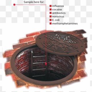 What Does Cambridge Sewage Say About Residents Mit - Wood, HD Png Download