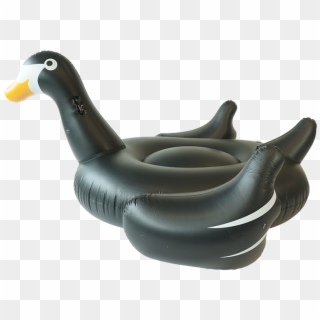 Sunfloats Inflatable Black Swan Pool Floats - Inflatable, HD Png Download