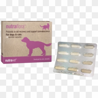 Nutraflora For Dogs & Cats 36 Capsules - Eye Shadow, HD Png Download