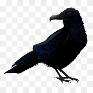 Halloween Crow Png High-quality Image - Raven Clipart Png, Transparent Png