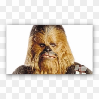 Torrance Is Increasingly Looking Like The Wookie From - Chewy Star Wars, HD Png Download