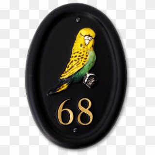 Budgie , Png Download - Budgie, Transparent Png