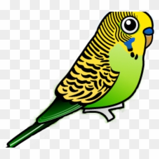 Budgie Cliparts - Blue Cartoon Budgie, HD Png Download