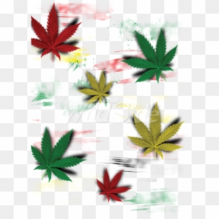 Rasta Multi Color Pot Leaves - Cannabis, HD Png Download