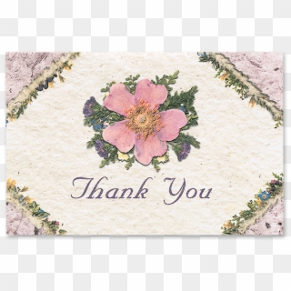 Wild Rose Thank You Cards - Thank You Roses, HD Png Download