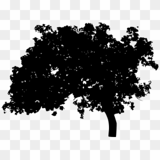 Picture Png Tree Silhouette - Portable Network Graphics, Transparent Png