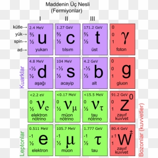 Elementary Particles - Higher Physics Standard Model, HD Png Download