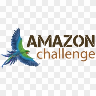 Amazon Challenge Jungle Adventure - Black Mamba, HD Png Download
