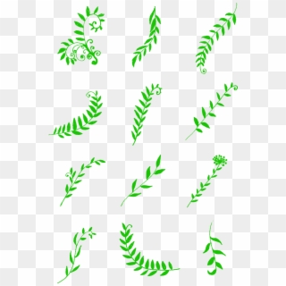 Green Leaves Different Shapes Decoratives Commercial - Vascular Plant, HD Png Download