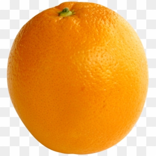 Orange Png Image, Free Download - Orange With A Transparent Background, Png Download