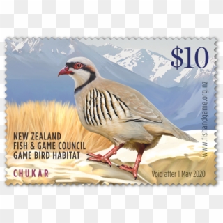 Single Stamps - Partridge, HD Png Download