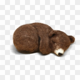 Sleepy Brown Bear Cub Needle Felting Kit - Punxsutawney Phil, HD Png Download