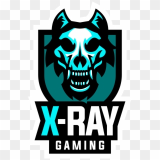 X-ray Gaming - Xray Gaming, HD Png Download