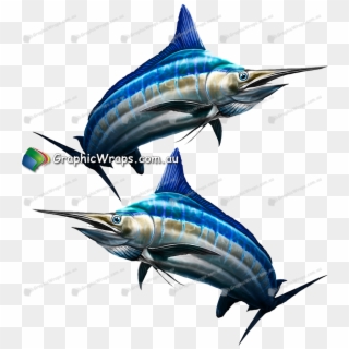 Graphics , Png Download - Atlantic Blue Marlin, Transparent Png